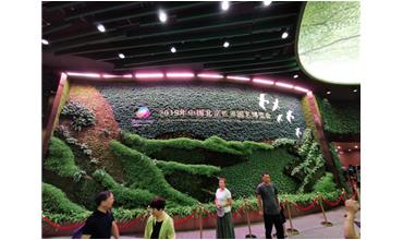 2019北京世園會，我們來啦